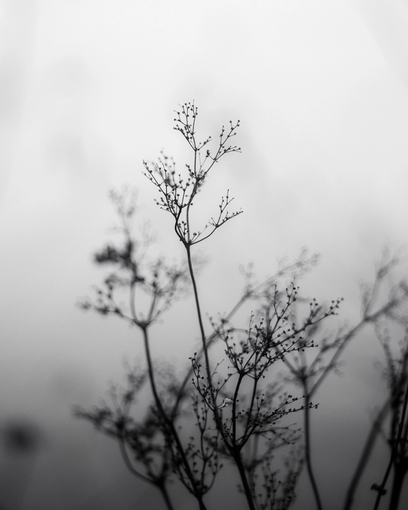 7Artisans 50mm F1.2 manuál objektív (Nikon-Z) APS-C (50F12B-Z)