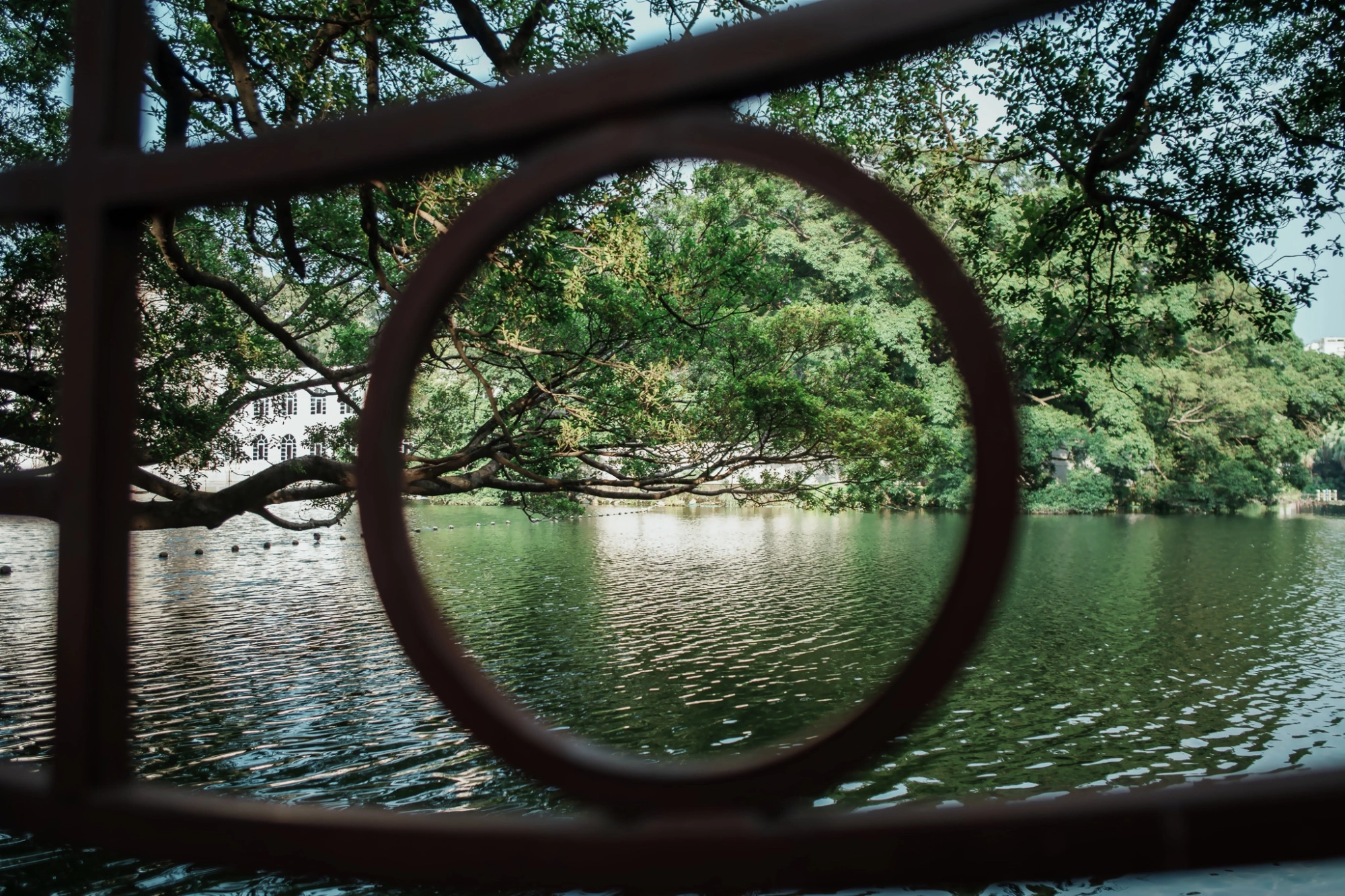 7Artisans AF 18mm F2 Lite autófókuszos objektív (Sony-E) APS-C fekete (AF18F2B-E APS-C)