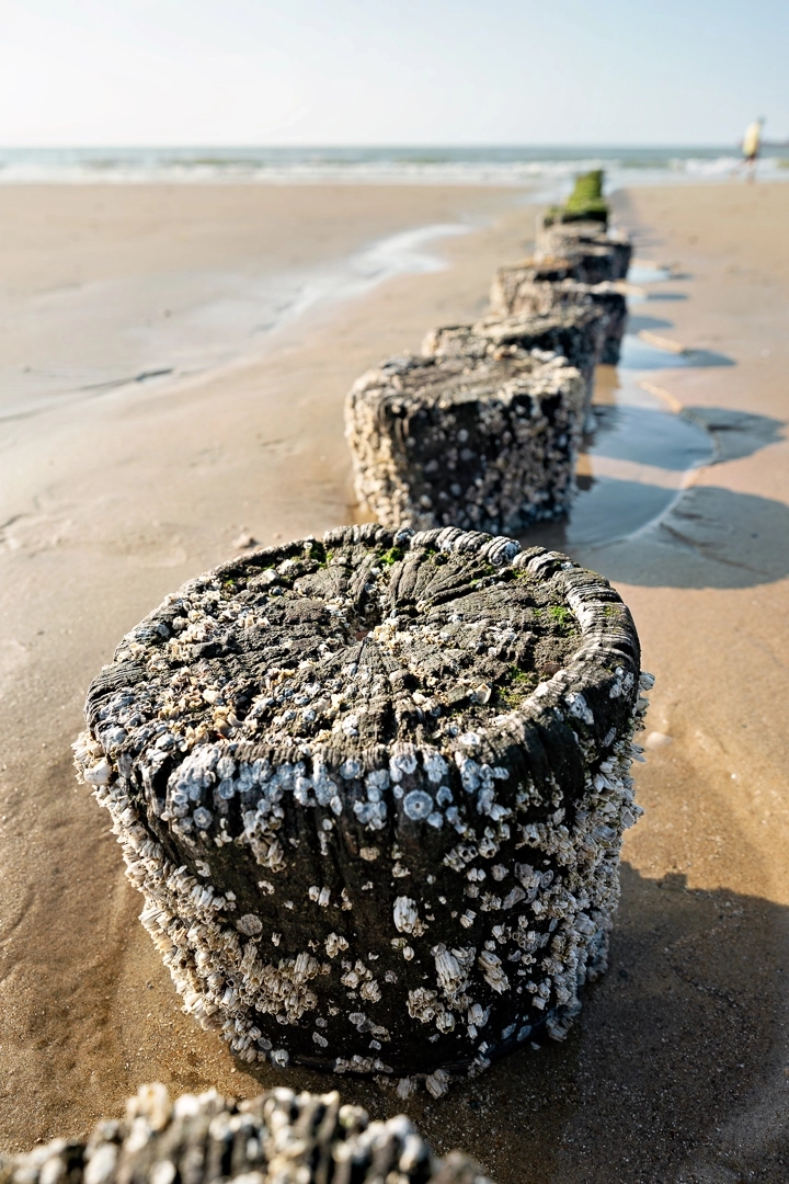 7Artisans AF 24mm F1.8 autófókuszos objektív (L) Full Frame (AF24F18B-L)