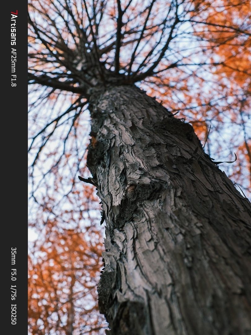 7Artisans AF 25mm F1.8  Lite autófókuszos objektív (Fuji-FX) APS-C fekete (AF25F18B-XAPS-C)