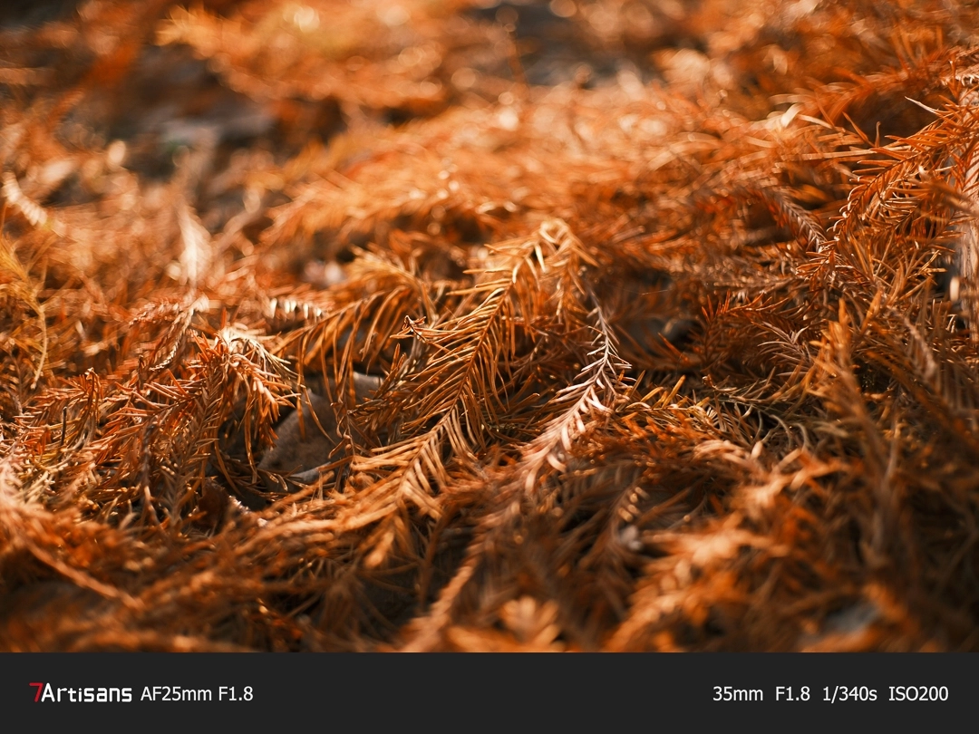 7Artisans AF 25mm F1.8  Lite autófókuszos objektív (Sony-E) APS-C fekete (AF25F18B-EAPS-C)