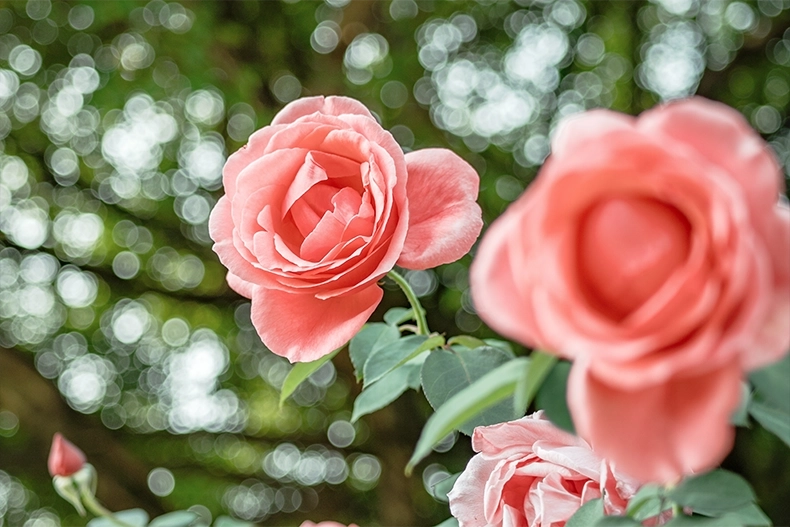 7Artisans AF 40mm F2.5 autófókuszos objektív (Sony-E) Full frame (AF40F25B-E)