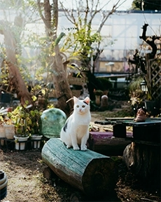 7Artisans AF 40mm F2.5 autófókuszos objektív (Sony-E) Full frame (AF40F25B-E)