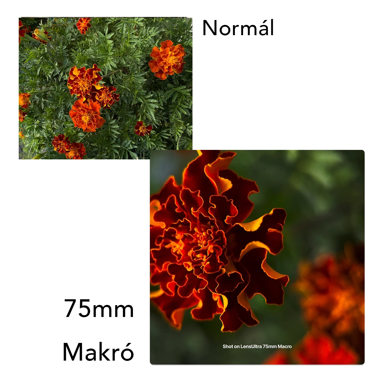 LensUltra 75mm Long Range Macro (LU-LR-075-23-EF)