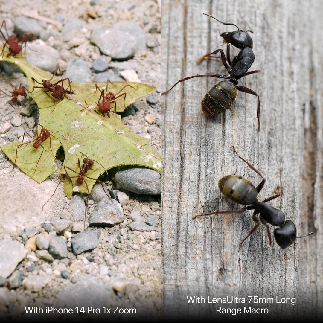 LensUltra 75mm Long Range Macro (LU-LR-075-23-EF)