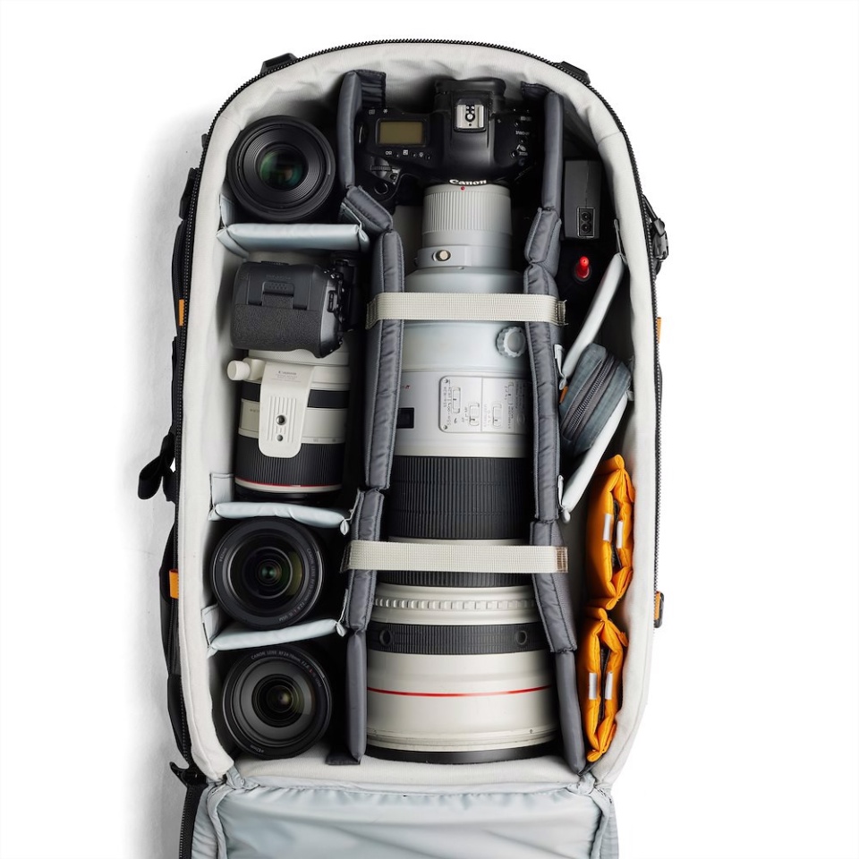 Lowepro Pro Trekker BP 650 AW II (LP37481-PWW)