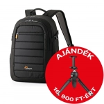 Lowepro Tahoe BP 150 (fekete) (LP36892-PWW)