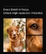 7Artisans AF 135mm F1.8 autófókuszos objektív (Nikon-Z) Full Frame AF fekete (AF135F18-Z)