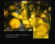 7Artisans AF 135mm F1.8 autófókuszos objektív (Nikon-Z) Full Frame AF fekete (AF135F18-Z)