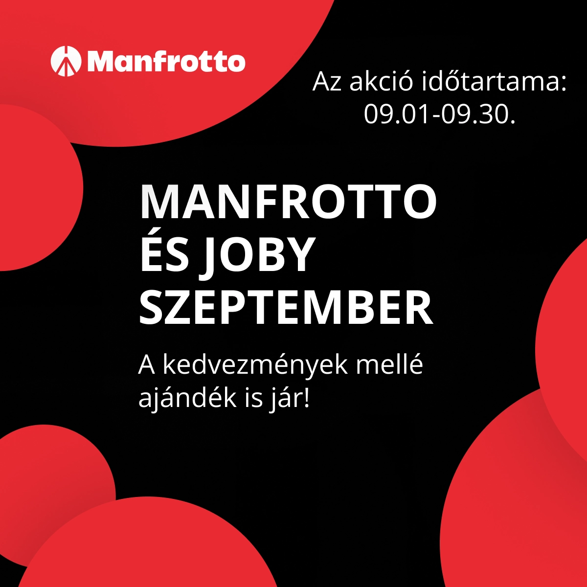 Kép
