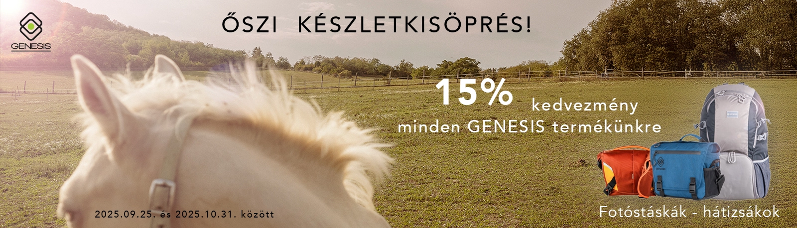 Kép